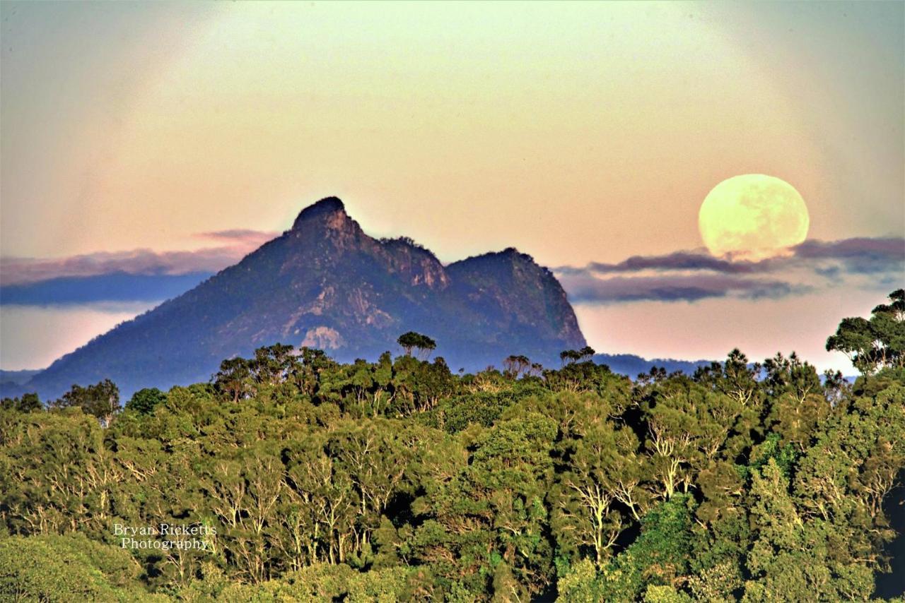 Hostal Tropical Coast Retreat - Pet Friendly - Adult Only Kingscliff Exterior foto