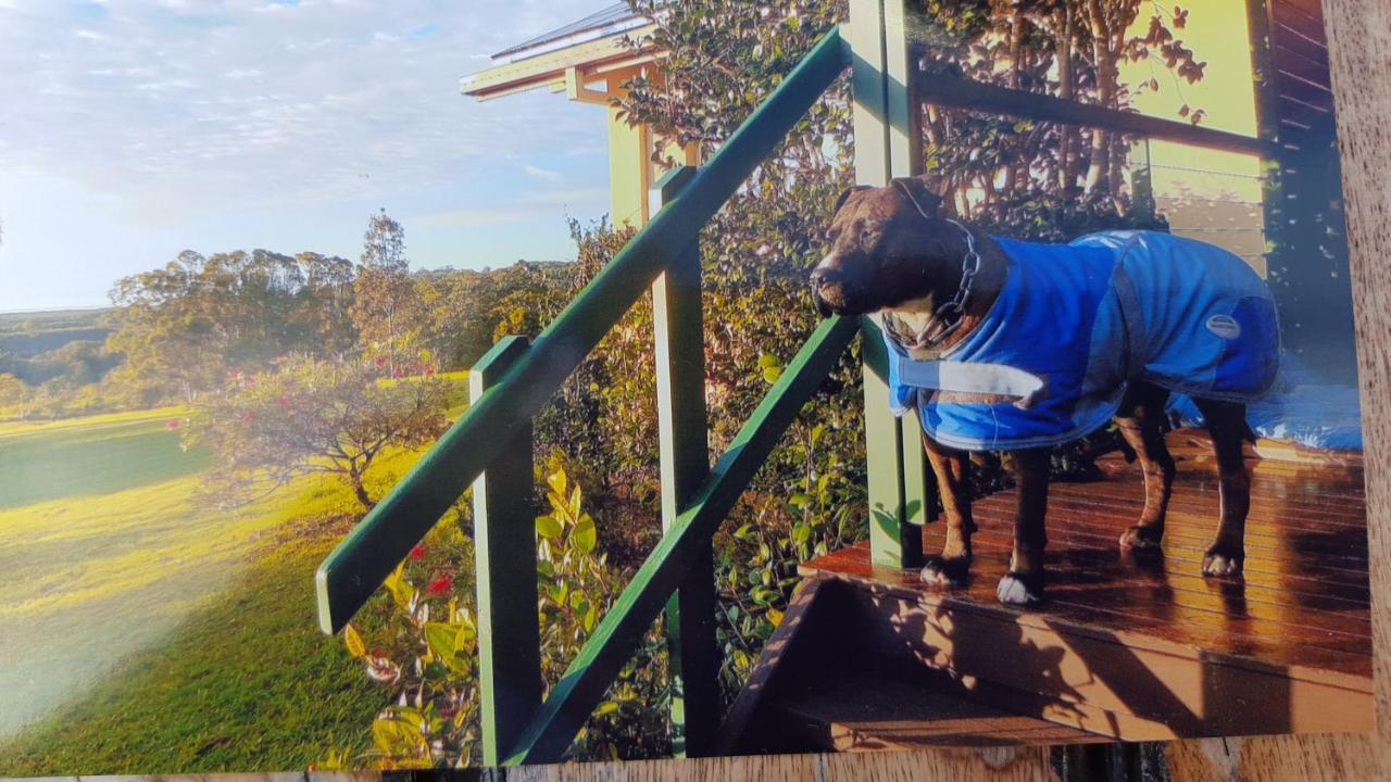 Hostal Tropical Coast Retreat - Pet Friendly - Adult Only Kingscliff Exterior foto