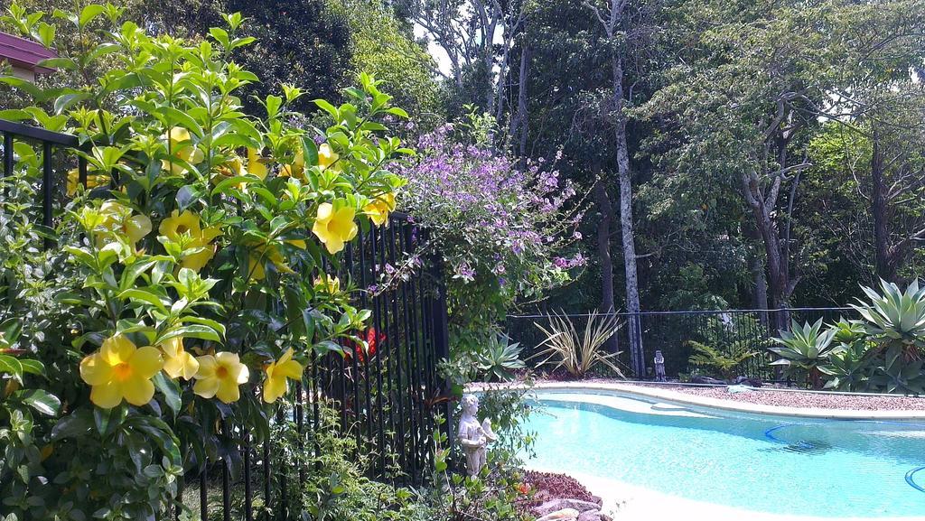 Hostal Tropical Coast Retreat - Pet Friendly - Adult Only Kingscliff Exterior foto