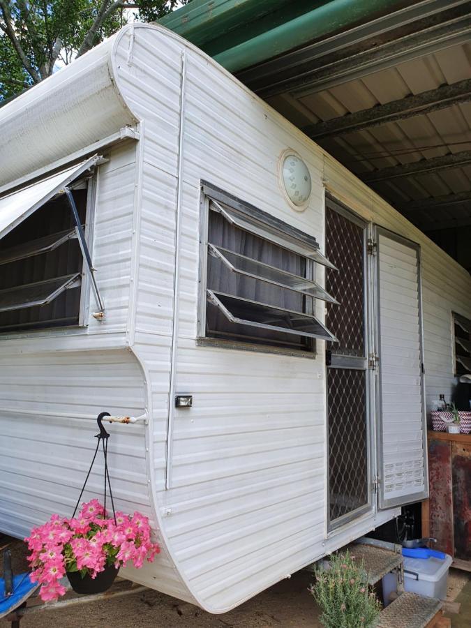 Hostal Tropical Coast Retreat - Pet Friendly - Adult Only Kingscliff Habitación foto